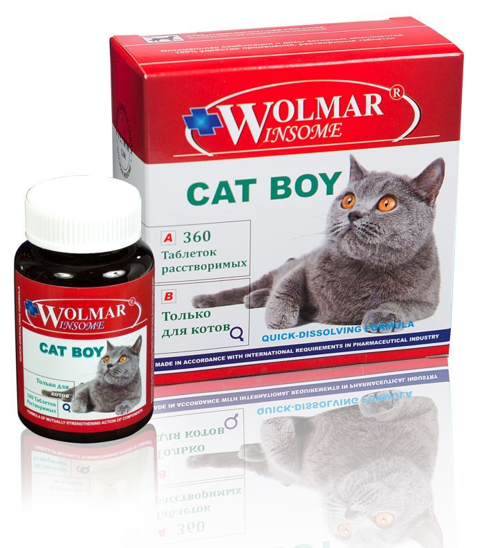 Лучшие витамины для котов