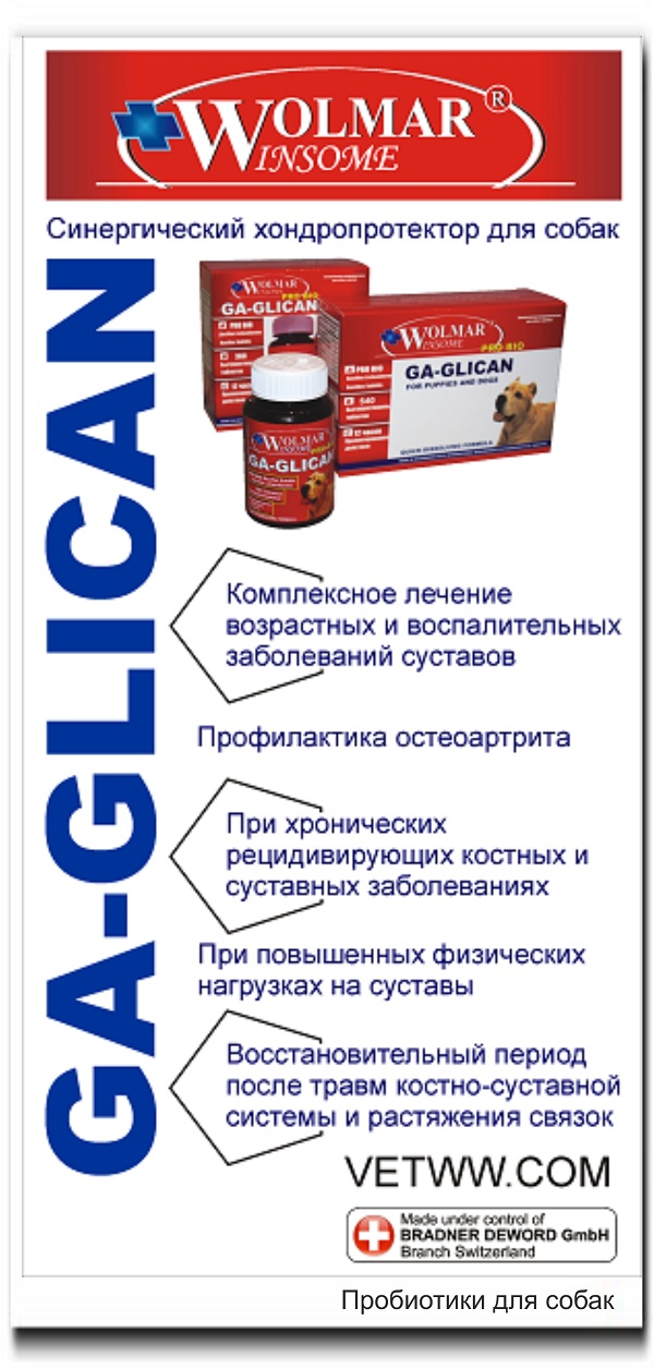 пробиотики для суставов  для собак